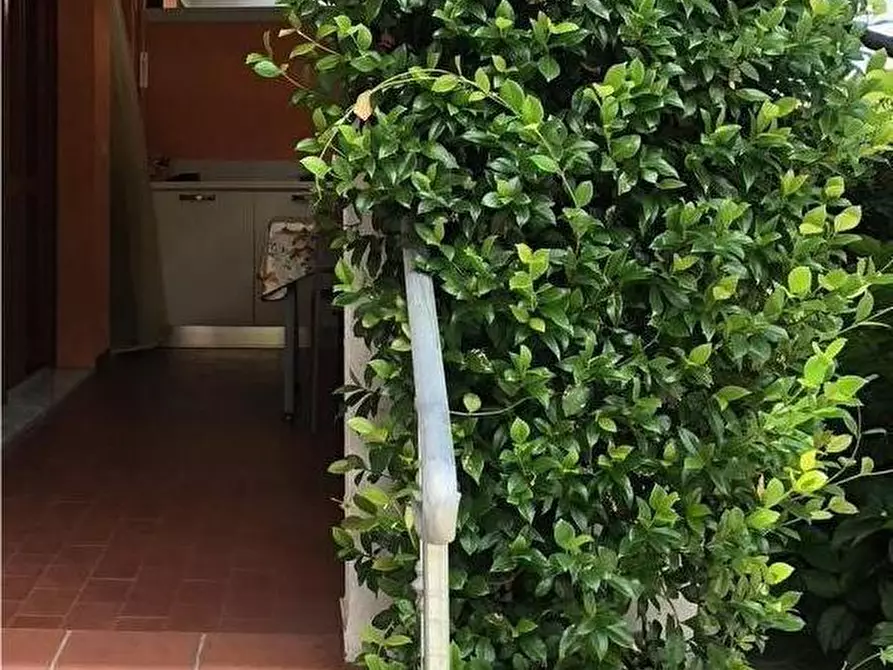 Immagine 2 di Appartamento in vendita  a Carrara