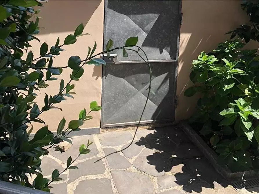 Immagine 15 di Appartamento in vendita  a Carrara