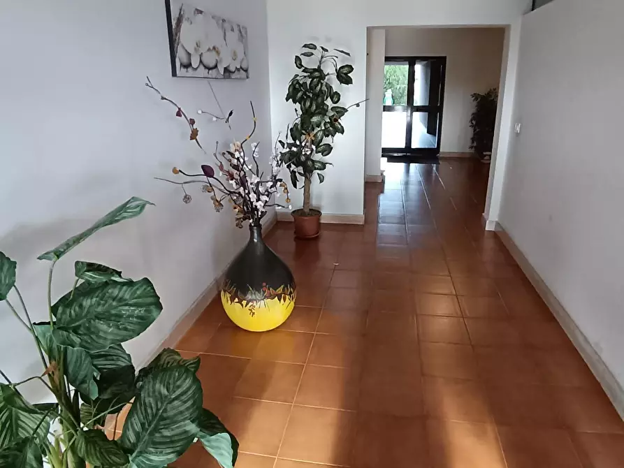 Immagine 24 di Appartamento in vendita  a Empoli