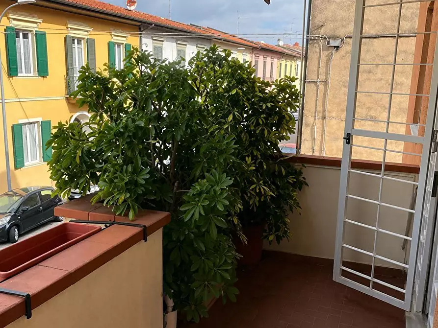 Immagine 4 di Appartamento in vendita  a Pisa