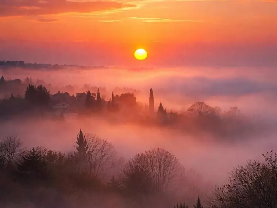Immagine 1 di Villa in vendita  a Asolo