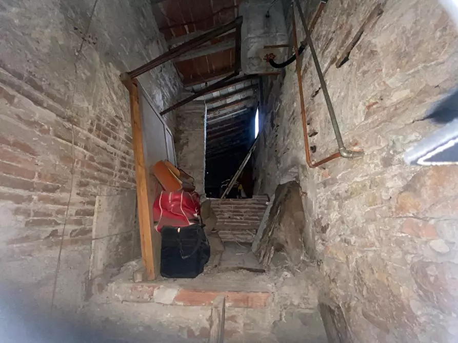 Immagine 13 di Terratetto in vendita  a Vecchiano