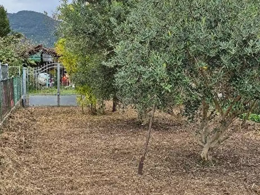 Immagine 2 di Terratetto in vendita  a San Giuliano Terme