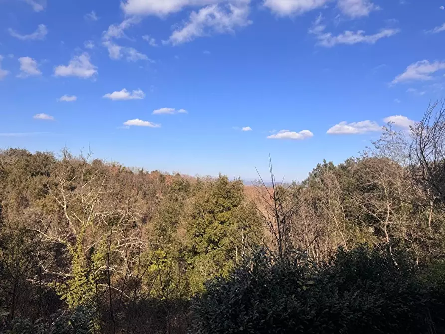 Immagine 16 di Appartamento in vendita  a Monteriggioni