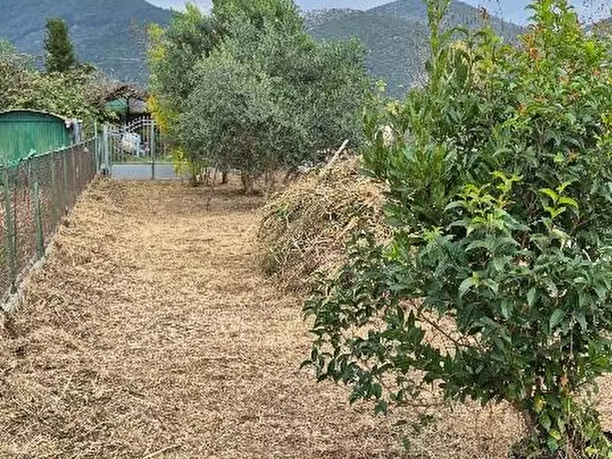 Immagine 1 di Terratetto in vendita  a San Giuliano Terme