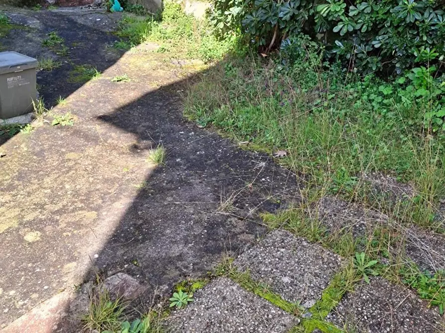 Immagine 16 di Terratetto in vendita  a Capraia E Limite