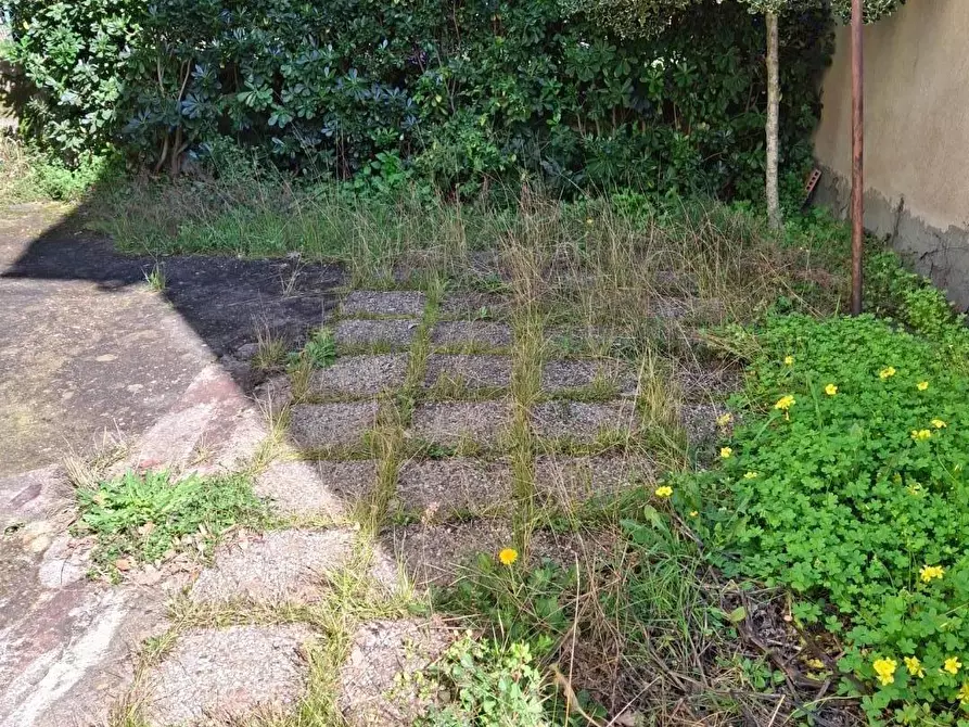 Immagine 17 di Terratetto in vendita  a Capraia E Limite