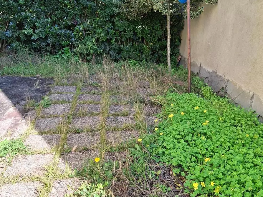 Immagine 18 di Terratetto in vendita  a Capraia E Limite