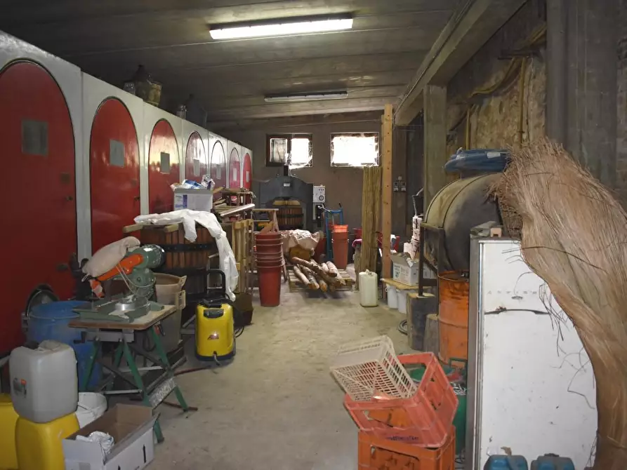 Immagine 13 di Casa colonica in vendita  a Montaione