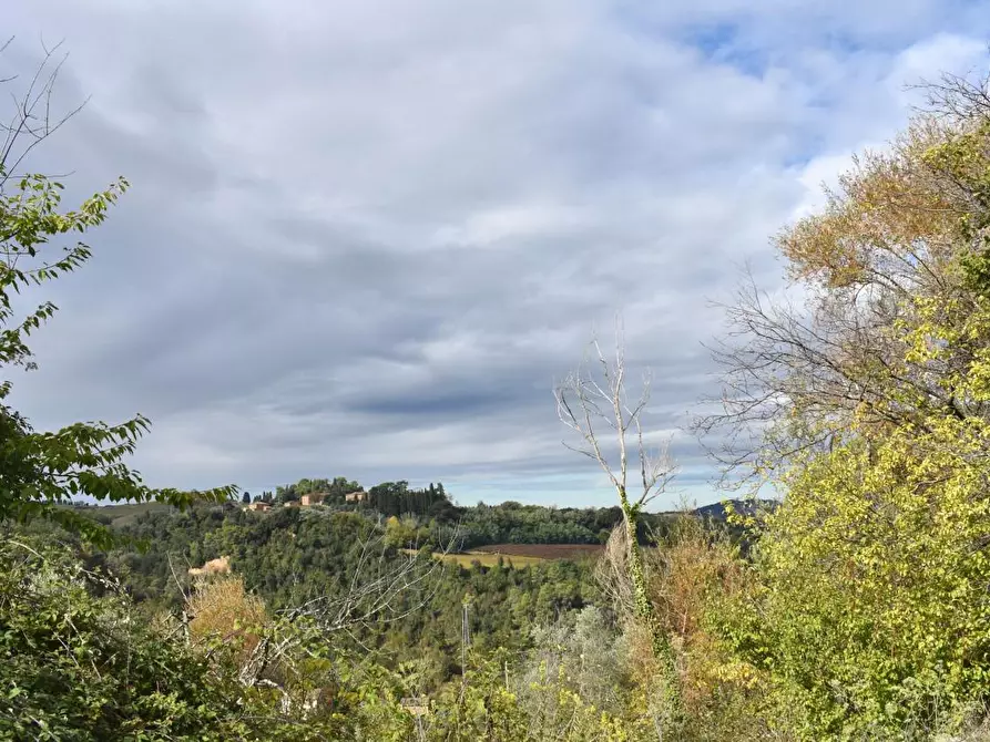Immagine 17 di Casa colonica in vendita  a Montaione