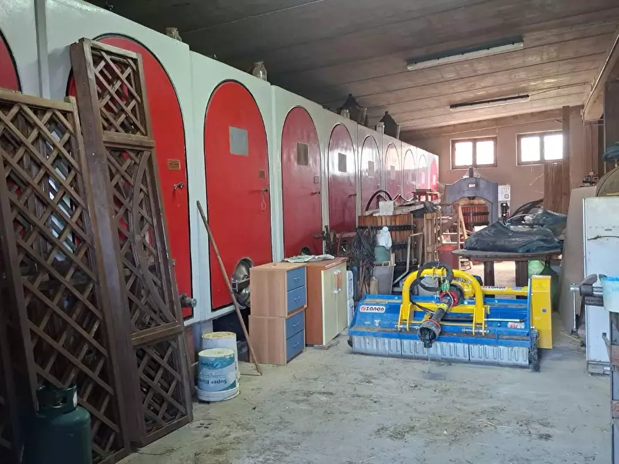 Immagine 14 di Casa colonica in vendita  a Montaione