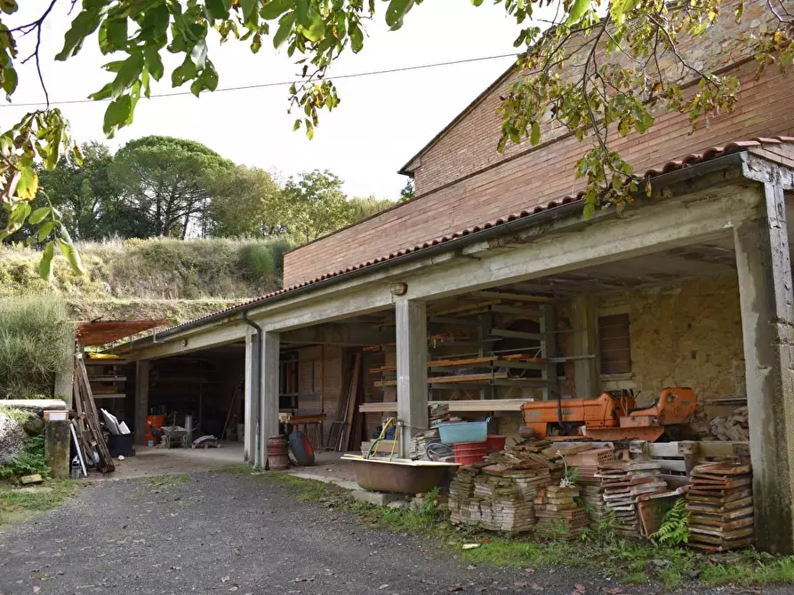 Immagine 4 di Casa colonica in vendita  a Montaione