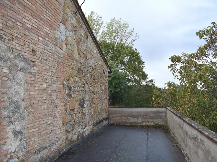 Immagine 5 di Casa colonica in vendita  a Montaione