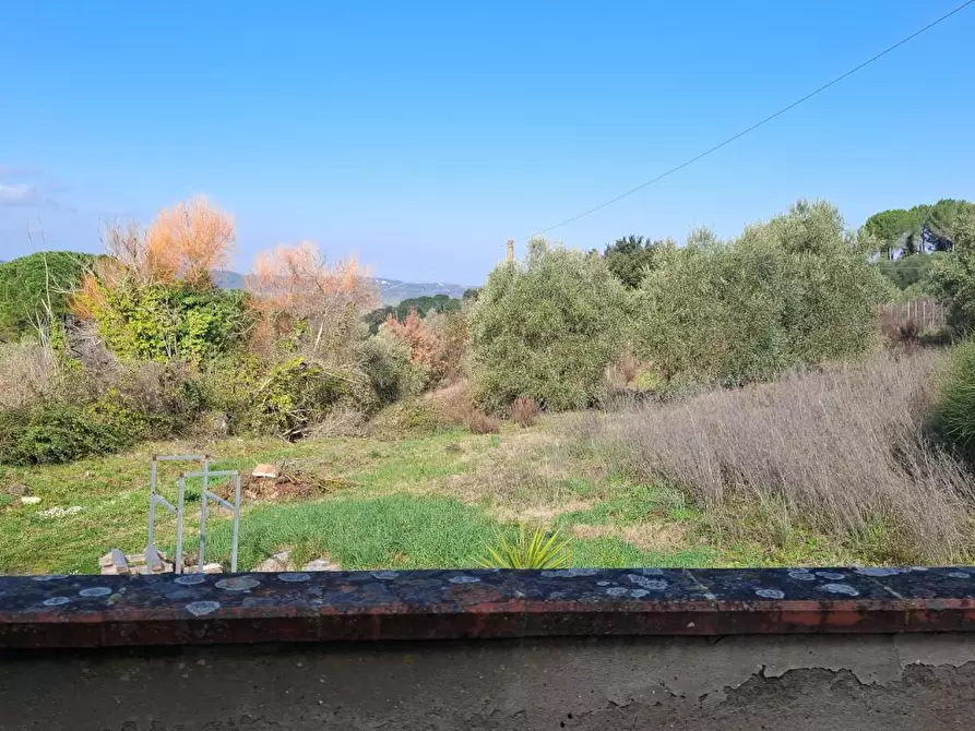 Immagine 18 di Casa colonica in vendita  a Montaione