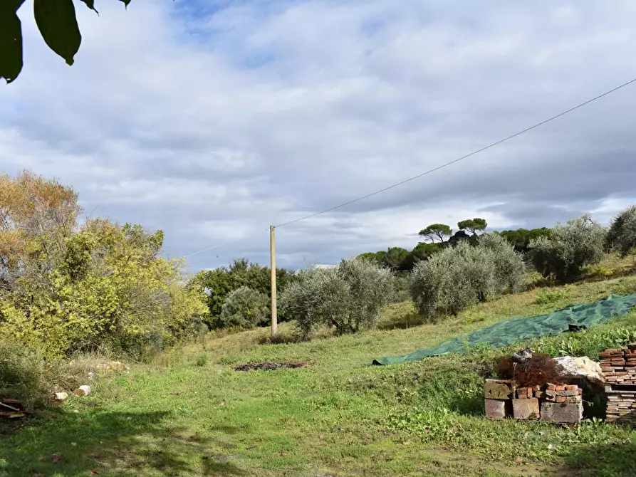 Immagine 15 di Casa colonica in vendita  a Montaione
