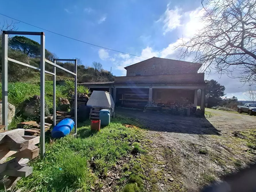 Immagine 6 di Casa colonica in vendita  a Montaione