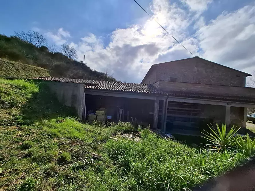 Immagine 7 di Casa colonica in vendita  a Montaione