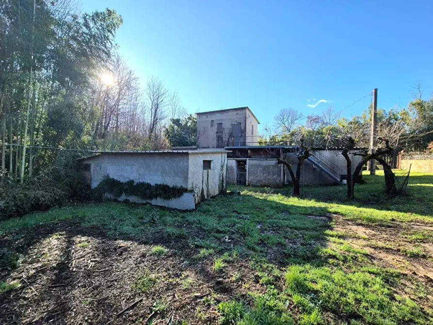 Immagine 5 di Locale commerciale in vendita  a Capannori