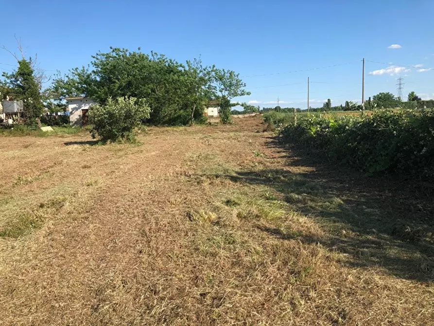 Immagine 7 di Terreno residenziale in vendita  a Castelfranco Di Sotto