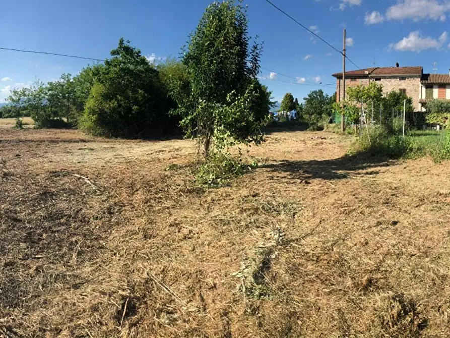 Immagine 4 di Terreno residenziale in vendita  a Castelfranco Di Sotto