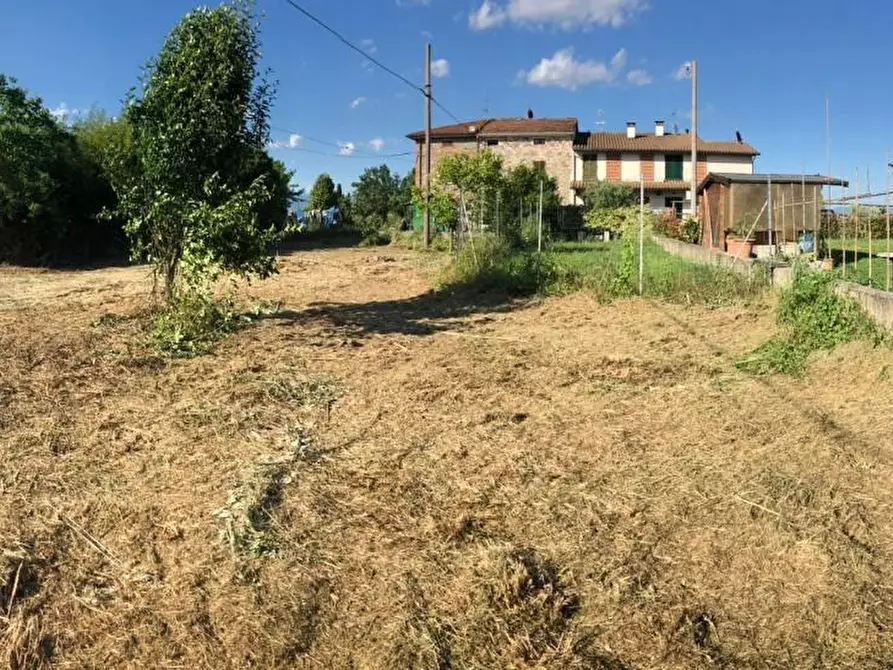 Immagine 5 di Terreno residenziale in vendita  a Castelfranco Di Sotto