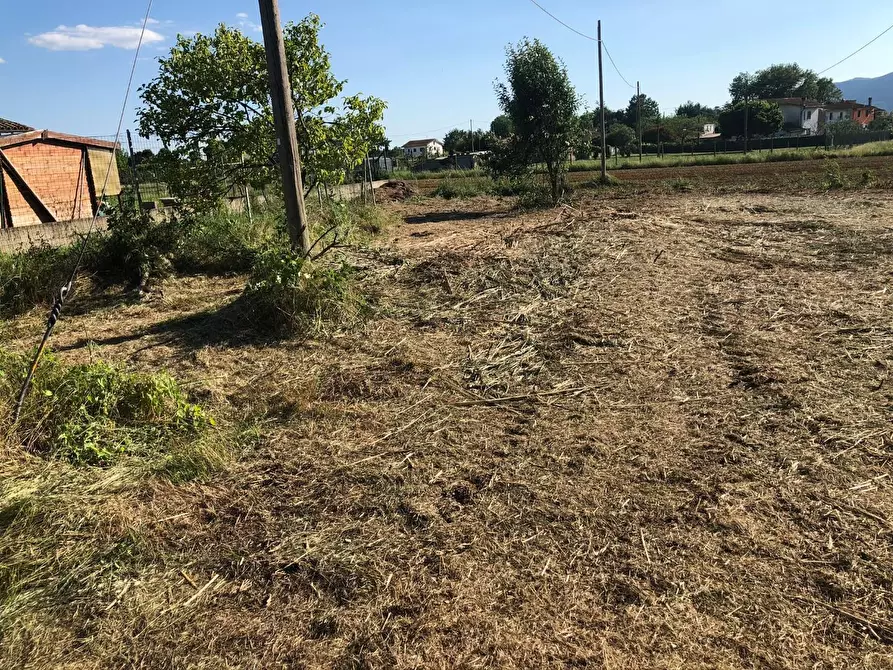 Immagine 1 di Terreno residenziale in vendita  a Castelfranco Di Sotto