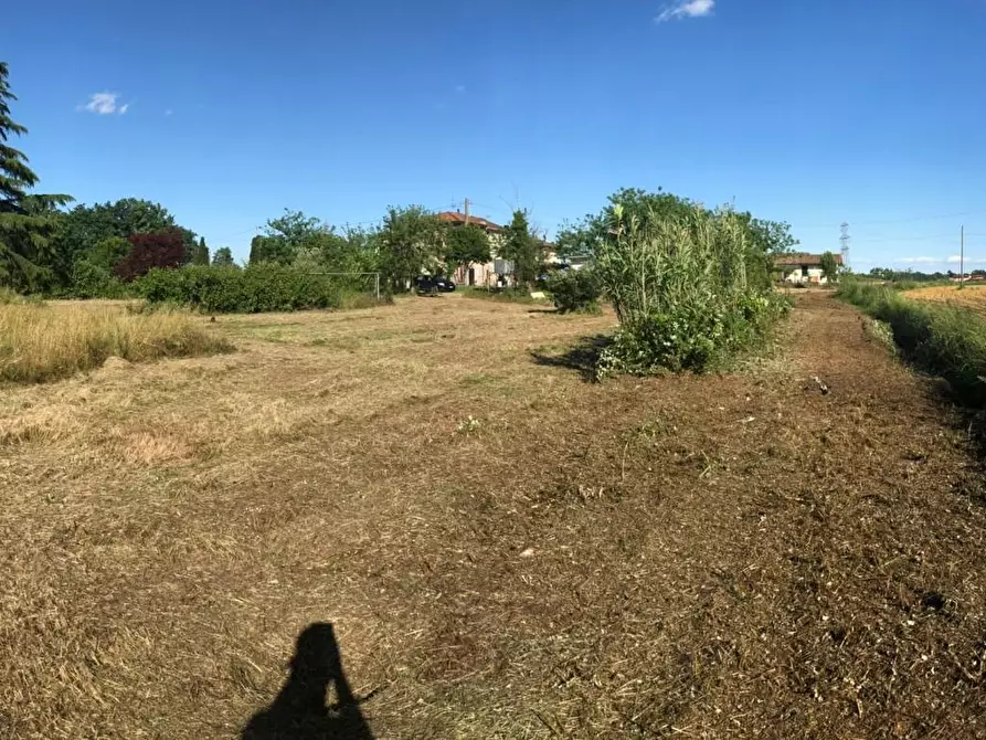 Immagine 6 di Terreno residenziale in vendita  a Castelfranco Di Sotto