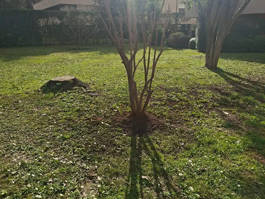 Immagine 5 di Appartamento in vendita  a Pisa