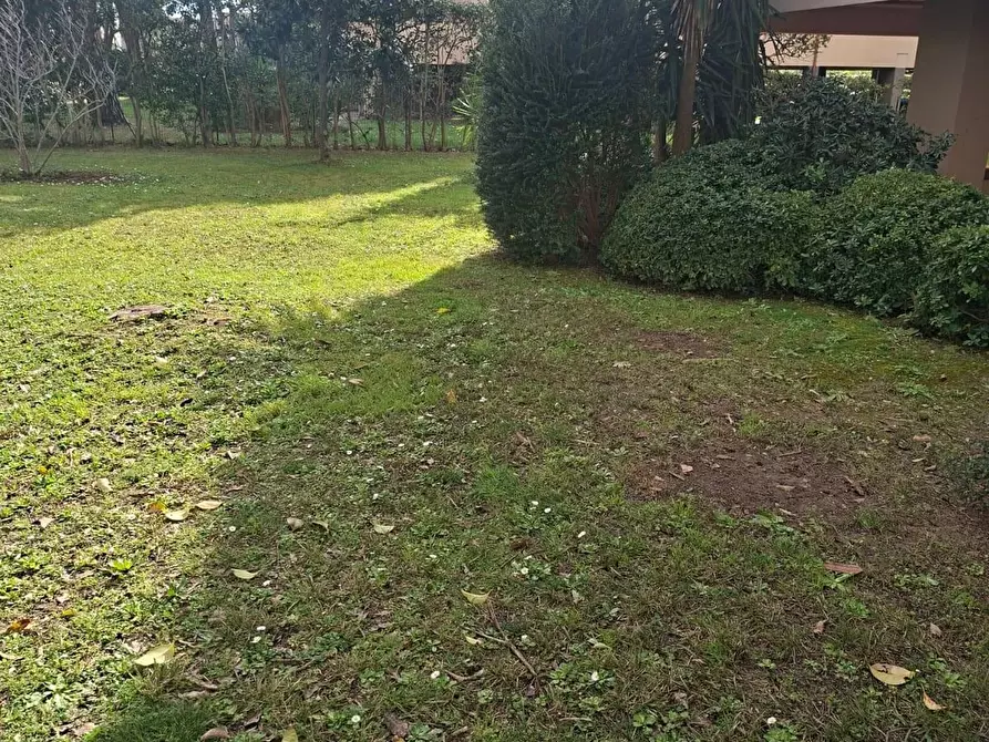 Immagine 4 di Appartamento in vendita  a Pisa