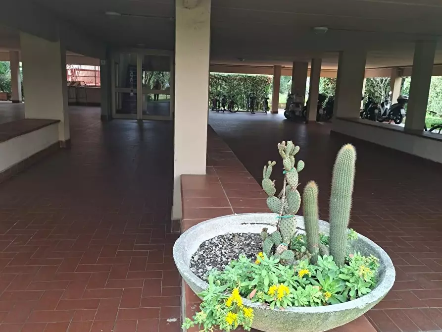 Immagine 3 di Appartamento in vendita  a Pisa