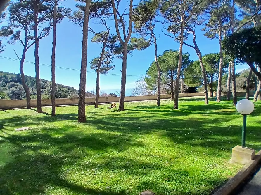 Immagine 1 di Mansarda in vendita  a Livorno