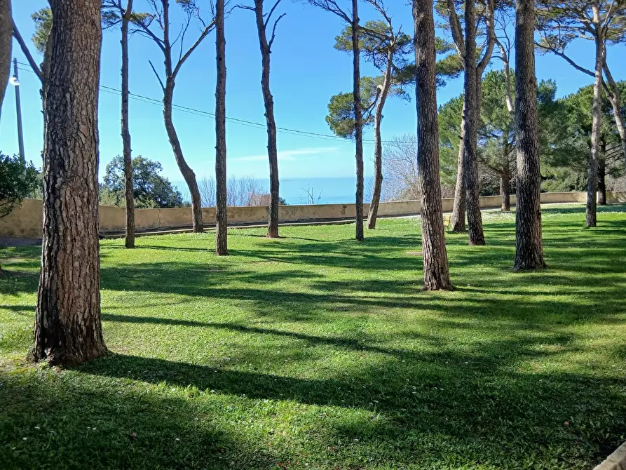 Immagine 2 di Mansarda in vendita  a Livorno