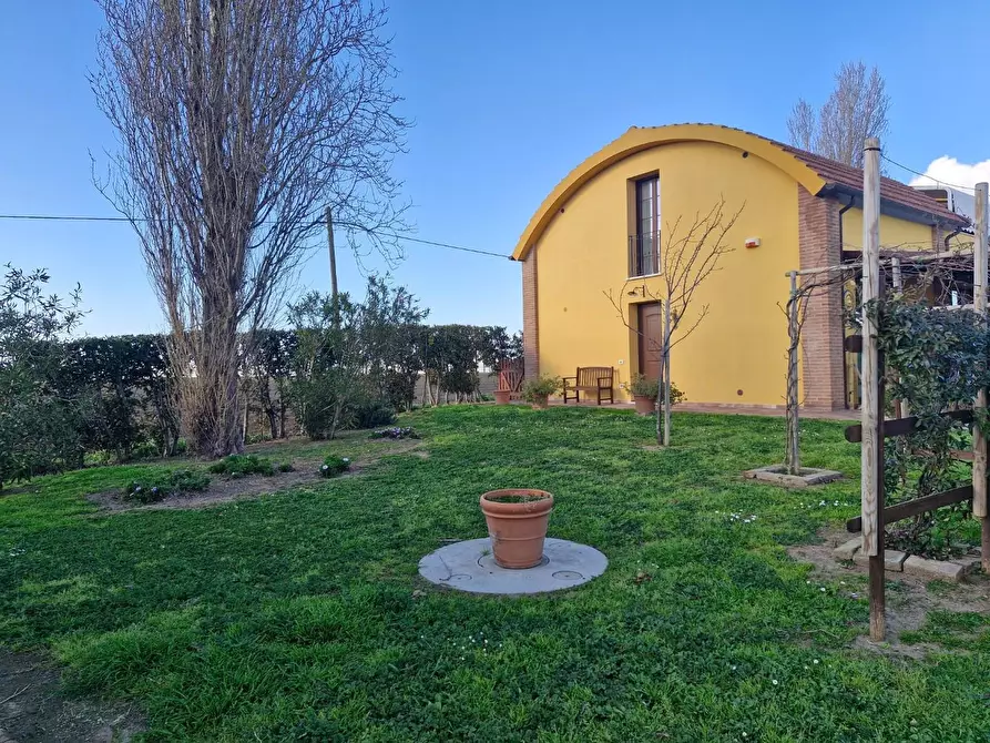 Immagine 6 di Casa bifamiliare in vendita  a Campiglia Marittima