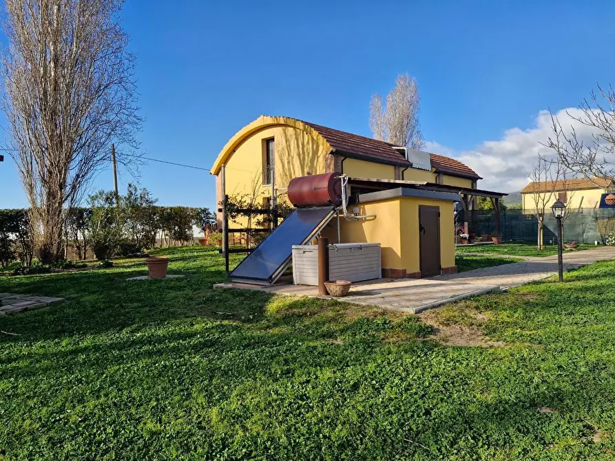 Immagine 15 di Casa bifamiliare in vendita  a Campiglia Marittima