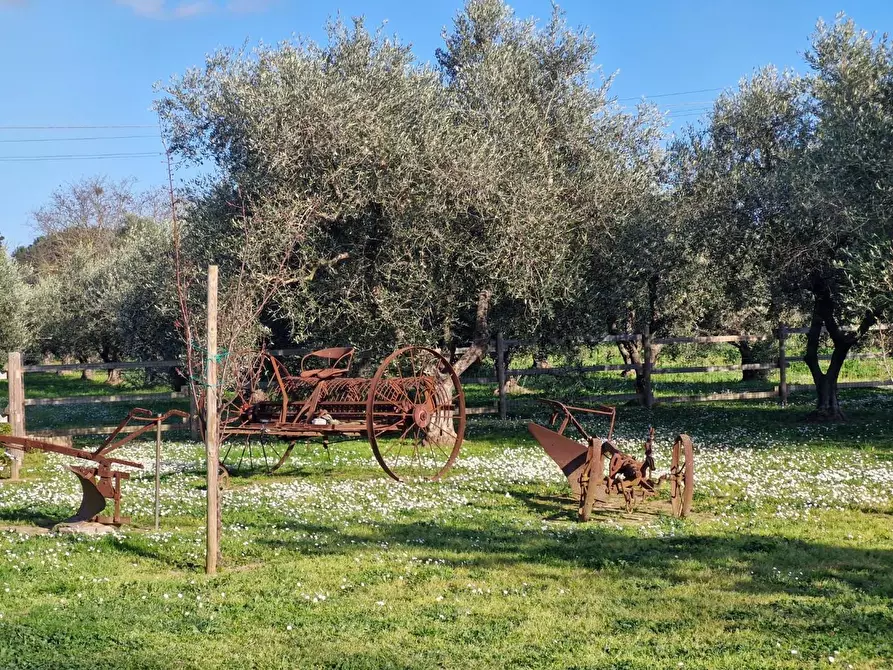 Immagine 9 di Casa bifamiliare in vendita  a Campiglia Marittima
