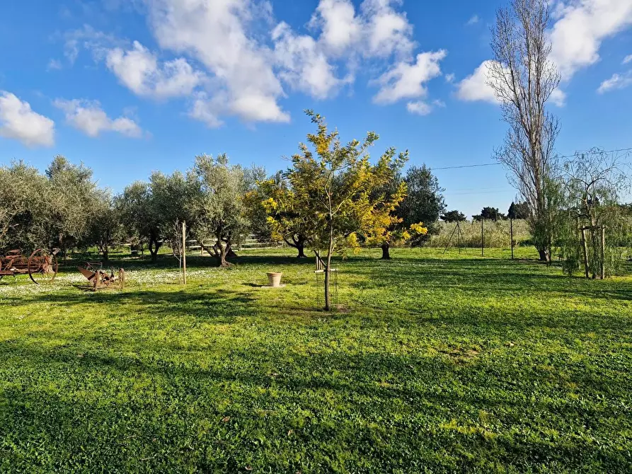 Immagine 8 di Casa bifamiliare in vendita  a Campiglia Marittima