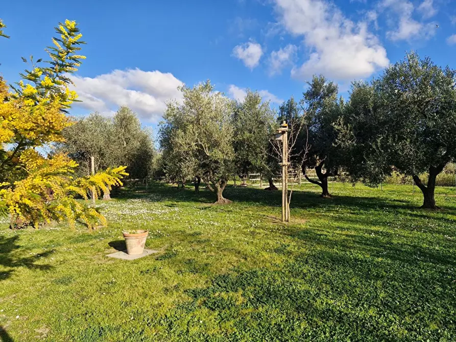 Immagine 14 di Casa bifamiliare in vendita  a Campiglia Marittima