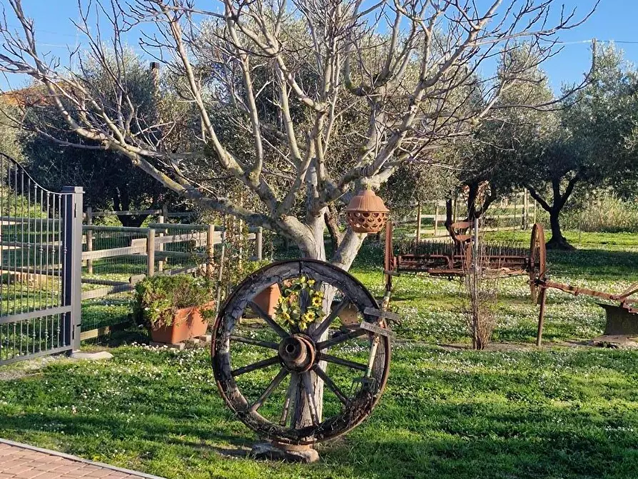 Immagine 2 di Casa bifamiliare in vendita  a Campiglia Marittima