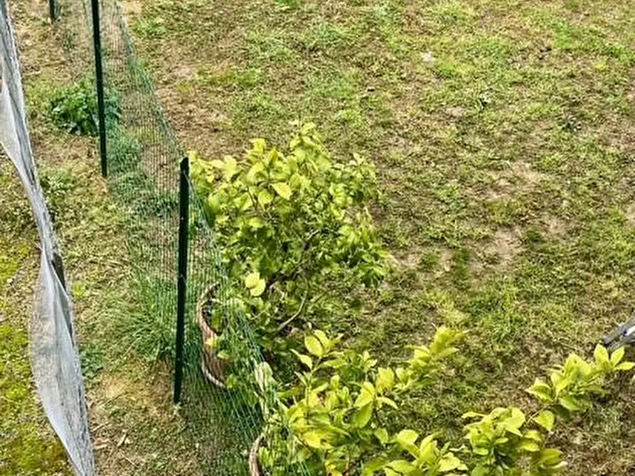 Immagine 21 di Appartamento in vendita  a Asciano