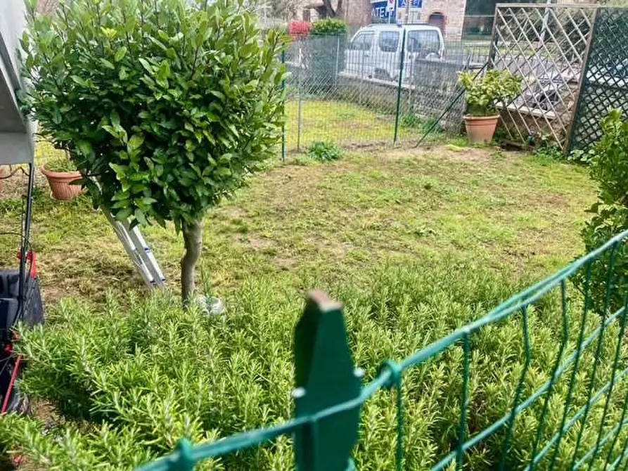 Immagine 22 di Appartamento in vendita  a Asciano