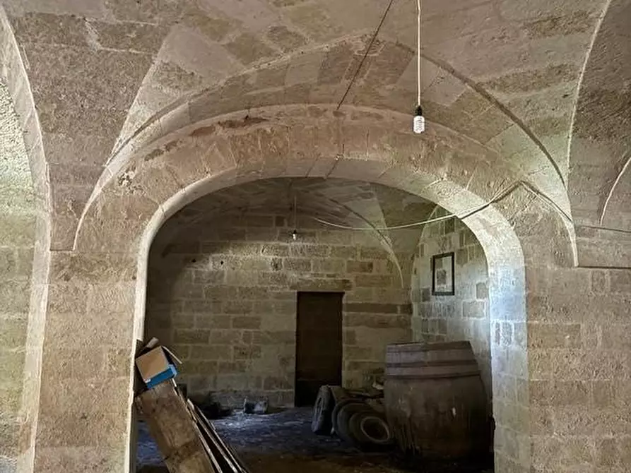 Immagine 45 di Villa in vendita  a Castrignano Del Capo