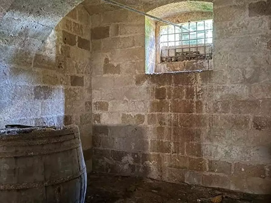 Immagine 50 di Villa in vendita  a Castrignano Del Capo