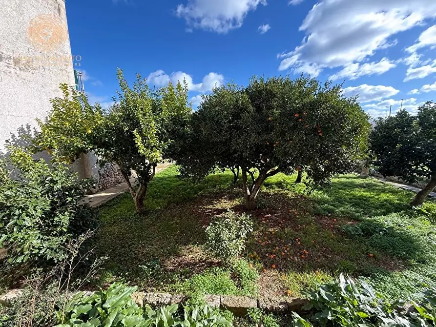 Immagine 42 di Villa in vendita  a Castrignano Del Capo