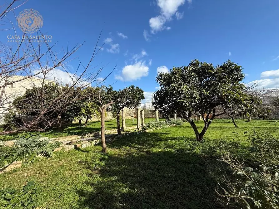 Immagine 15 di Villa in vendita  a Castrignano Del Capo