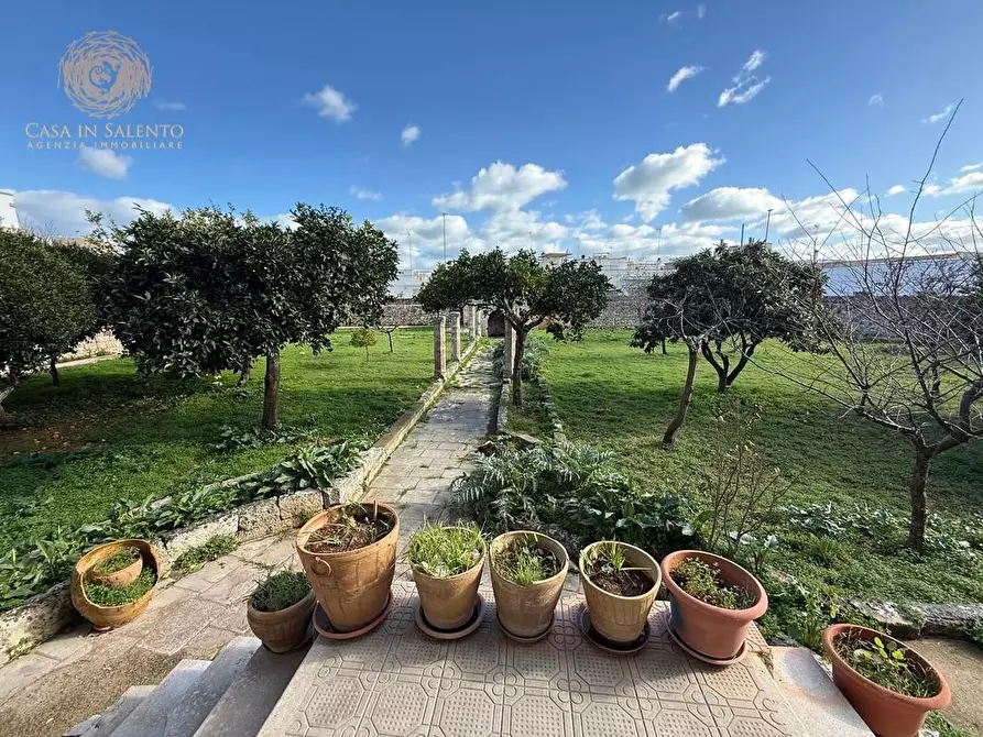 Immagine 7 di Villa in vendita  a Castrignano Del Capo