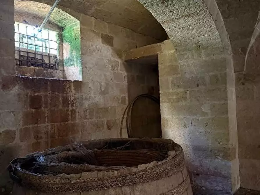 Immagine 46 di Villa in vendita  a Castrignano Del Capo