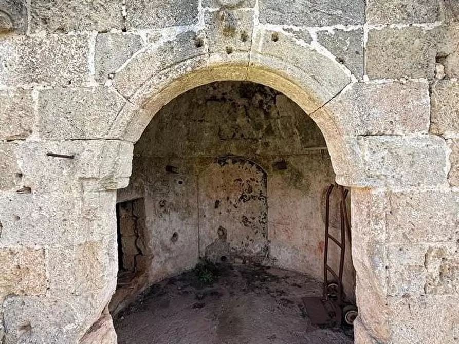 Immagine 10 di Villa in vendita  a Castrignano Del Capo