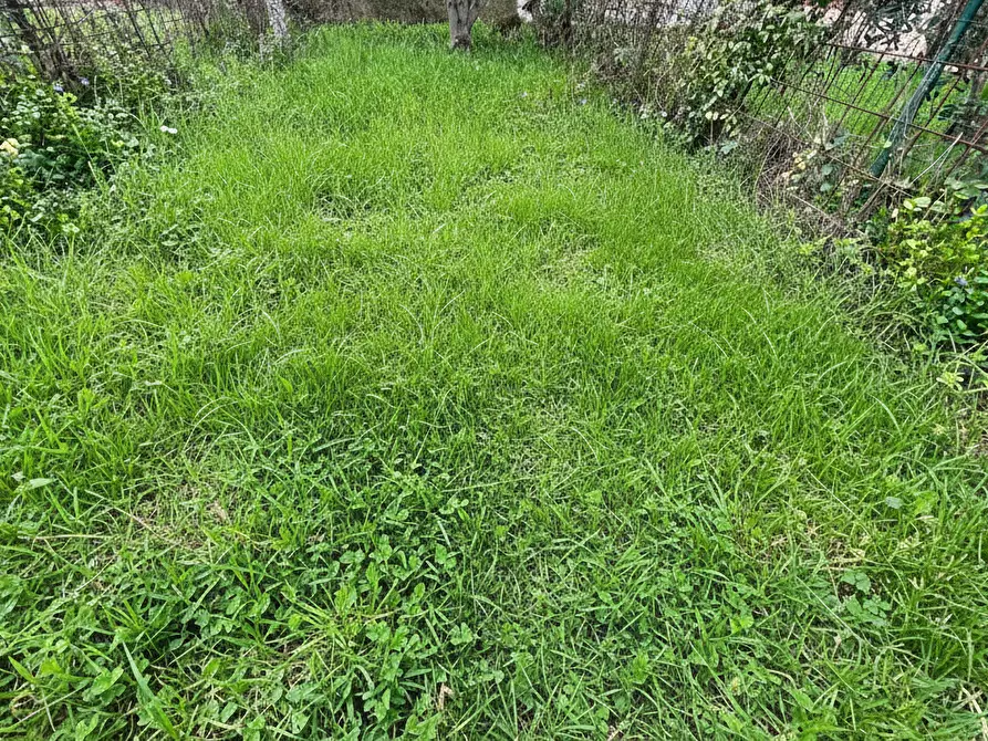 Immagine 18 di Appartamento in vendita  a Montelupo Fiorentino