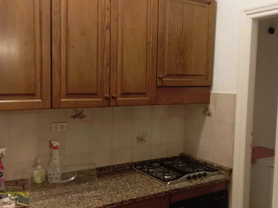 Immagine 22 di Appartamento in vendita  a Lucca