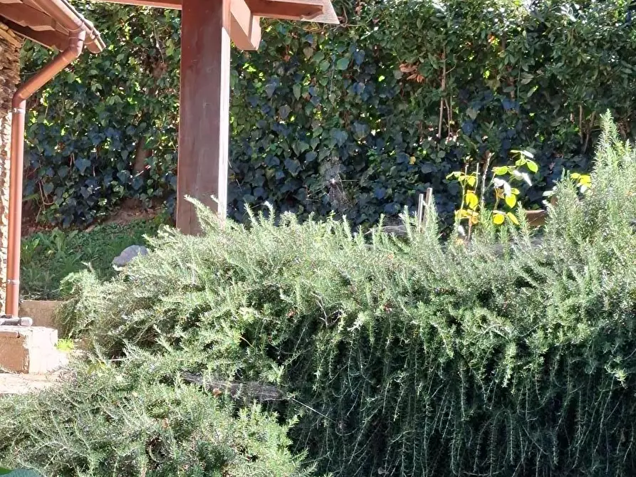 Immagine 3 di Casa indipendente in vendita  a Montignoso